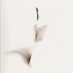 04-Livre-dartiste--Image-4