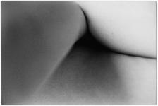 body1