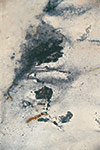 Hala Hilmi HODEIB : La vie d'encre