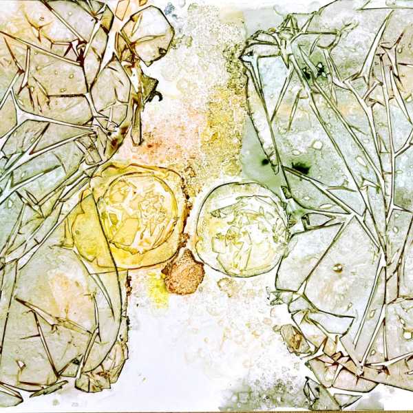 RADIGOIS Marie-Annick