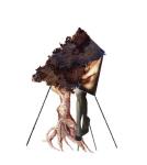 gaudard-michele-2