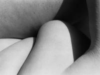 body3