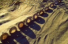 dune_150