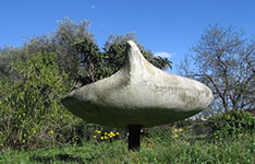 cotto-oiseau_louche3