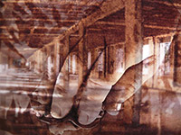 serie-touch-memory-3-150